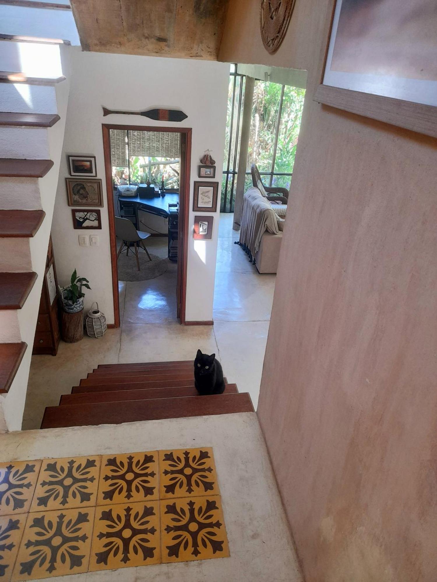 Casa De Vidro Apartment เปโตรโปลิส ภายนอก รูปภาพ